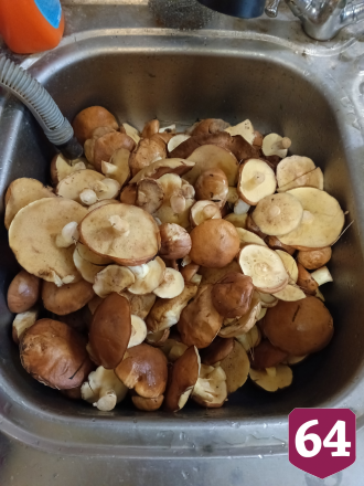 Саратовцы в грозу собрали благородные грибы  