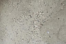 Саратовцы не вняли призывам чиновников не мусорить в парках 