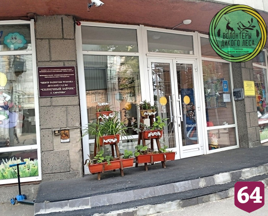 В Саратове змея заползла на территорию детского сада