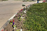 В Саратовской области чиновник с коллегами сажал цветы 